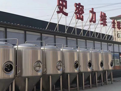 澄城精酿啤酒设备厂—如何判断精酿啤酒设备的密封件需要更换？